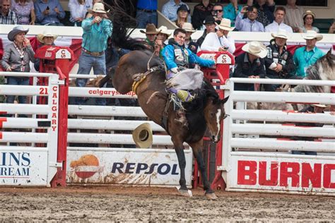 alexis frulling stampede video|Alexis Frulling in public threesome at Calgary Stampede video。